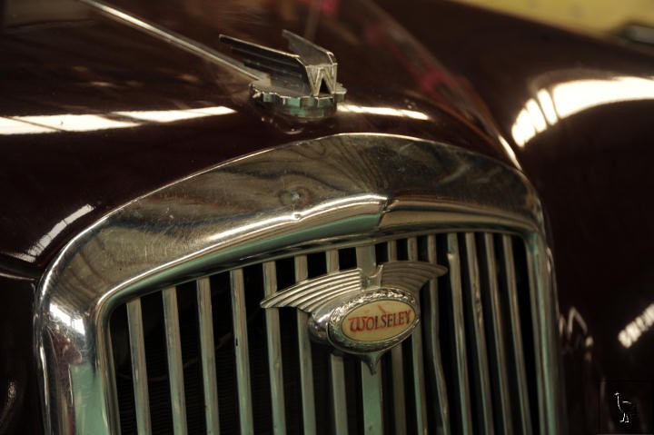 Wolsely_1956_6843.jpg