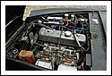Datsun_2000_Qld_4.jpg