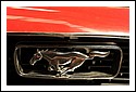 Ford_Mustang_6785.jpg