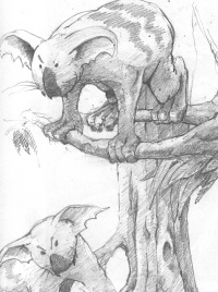 Sketch of dropbears, WA - Rick Russell