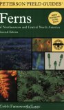 Peterson Field Guide to Ferns, Second Edition: Northeastern and Central North America