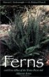 Ferns and Fern Allies of the Trans-Pecos and Adjacent Areas