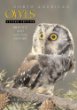 North American Owls: Biology and Natural History
